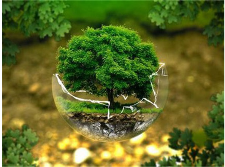 What is environmental monitori···